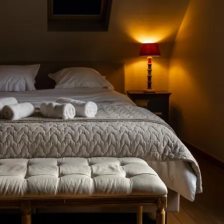 De Levensboom - Het Oud Gemeentehuis 3* Damme